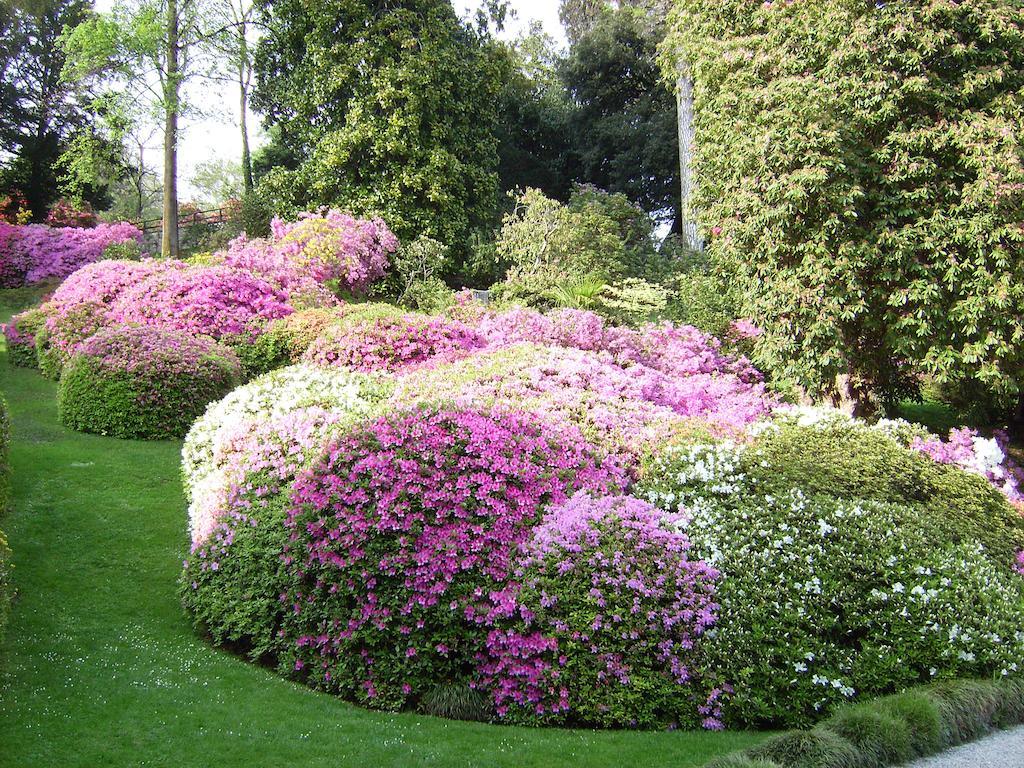 Charming Glicine And Azalea House Art And Colour With Lakeview Cadenabbia ห้อง รูปภาพ